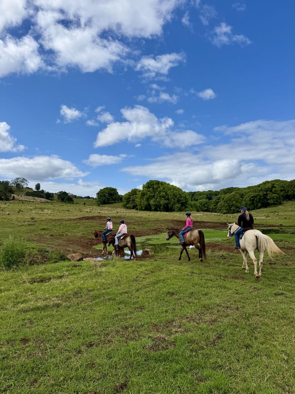 Riders heading out across a green paddock