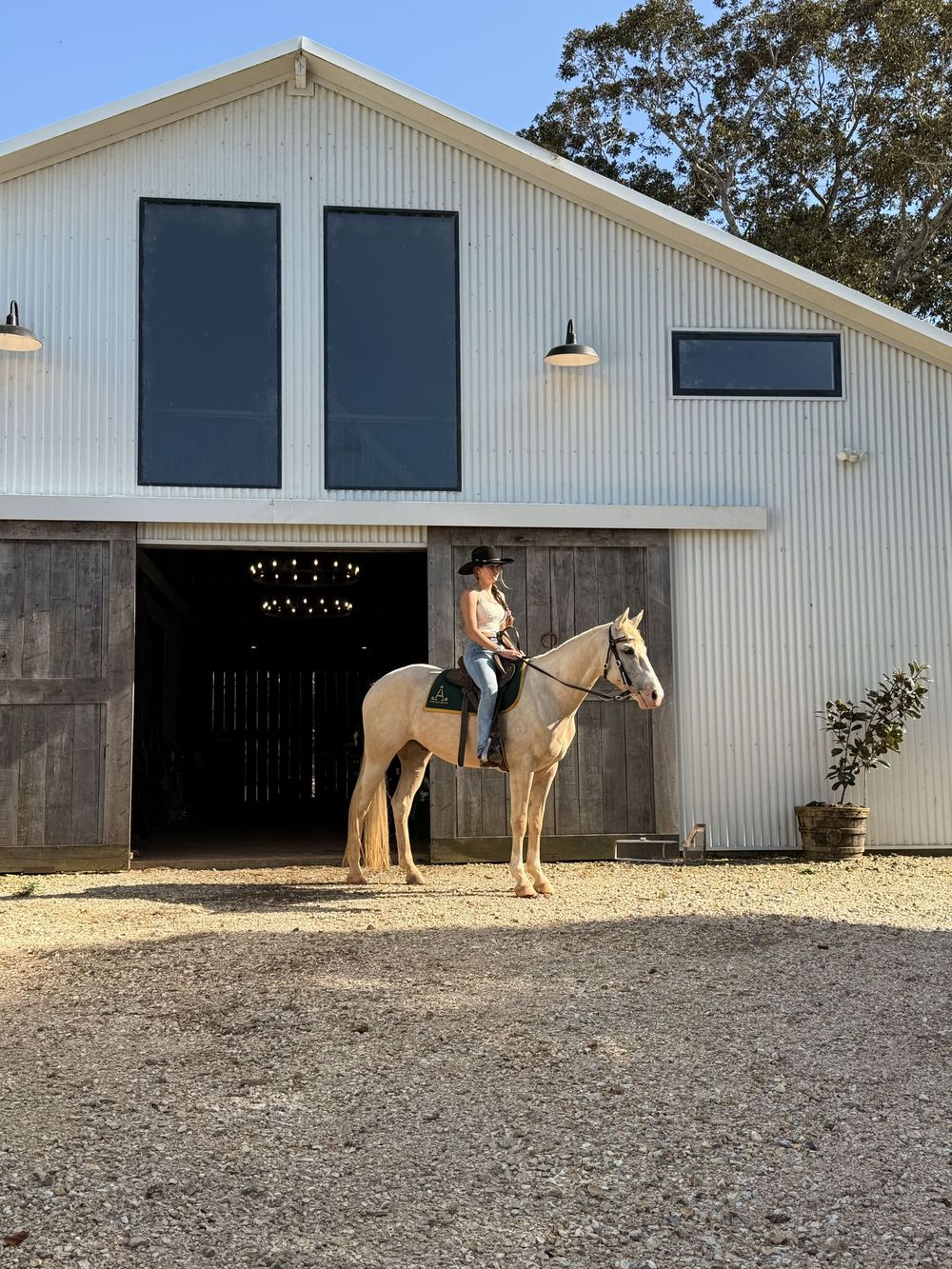 Woman in a black hat on a palomino in front of a white barn